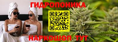 эйфоретик Нарткала