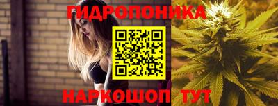 эйфоретик Нарткала